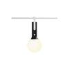 BOLLA+  - BLACK