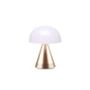 MINA L AUDIO  - SOFT GOLD