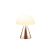 MINA L AUDIO  - SOFT GOLD
