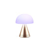 MINA L AUDIO  - SOFT GOLD