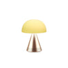 MINA L AUDIO  - SOFT GOLD