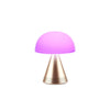 MINA L AUDIO  - SOFT GOLD